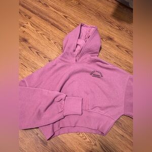 PacSun Mauve Hoodie Sweatshirt
